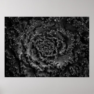 Gartenblumen in Schwarzweiß Nr. 107 Poster