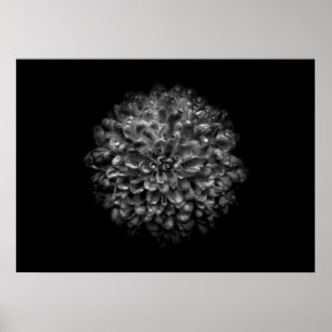 Gartenblumen in Schwarzweiß Nr. 46 Poster