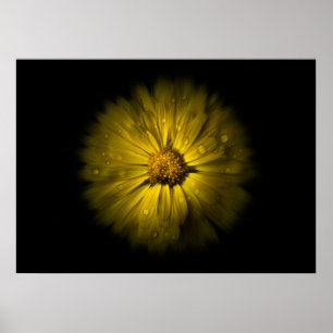 Gartenblumen Nr. 10 Farbfluss-Version Poster