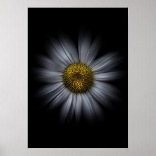 Gartenblumen Nr. 13 Color Flow Version Poster