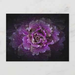 Gartenblumen Nr. 42 Farbversion Postkarte