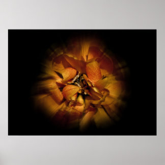 Gartenblumen Nr. 80 Color Flow Version Poster