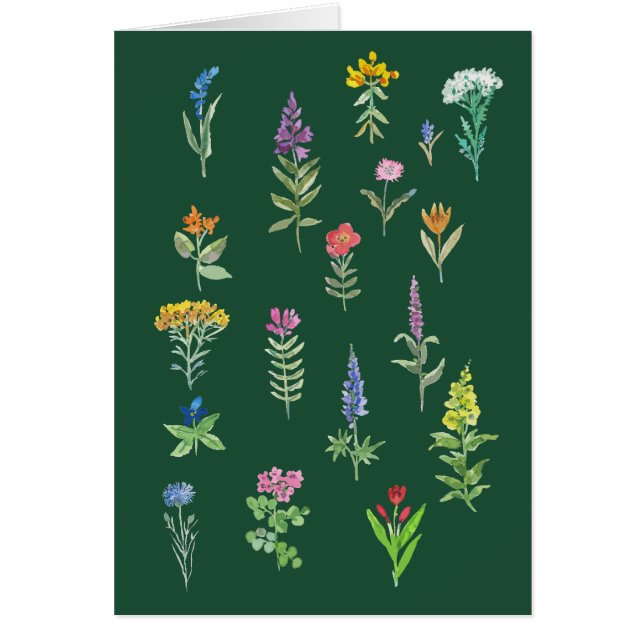 Gartenblumen Postkarte  (Vorne)