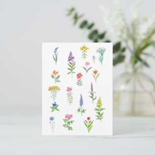 Gartenblumen Postkarte