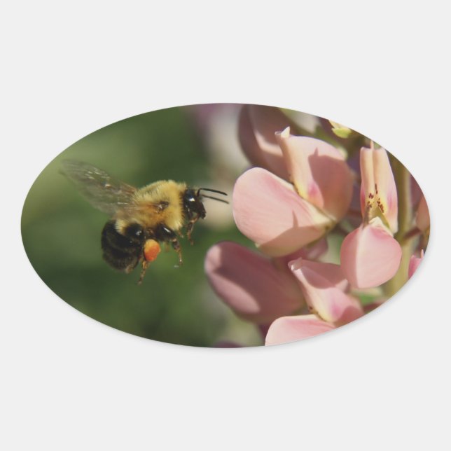 GartenFoto Ovaler Aufkleber (Vorderseite)