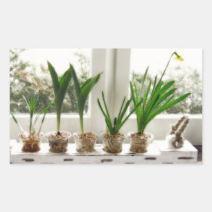 GartenFoto Rechteckiger Aufkleber