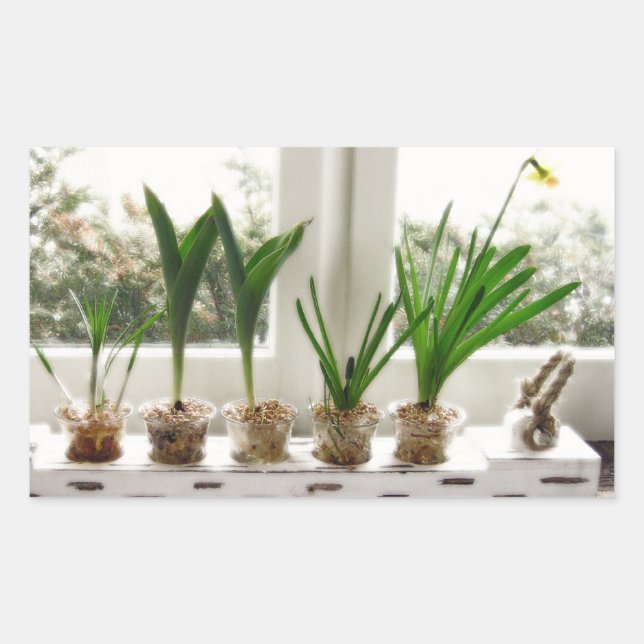 GartenFoto Rechteckiger Aufkleber (Vorderseite)