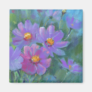 Gartengarten-Blume (Cosmos bipinnatus, mexikanisch Magnet