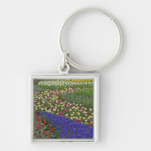 Gartengestaltung von Traubenhyazinthen und Tulpen, Schlüsselanhänger