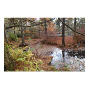 Gartenherbstbäume und Wasserteich Pflanze Szene. Fotodruck