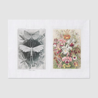 Garteninsekt und Blumendecoupage Seidenpapier