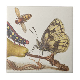 Garteninsekten, Fliege, Raupe, Birne, Tausendfüßle Fliese