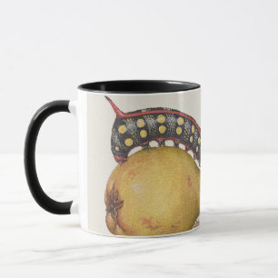 Garteninsekten, Fliege, Raupe, Birne, Tausendfüßle Tasse