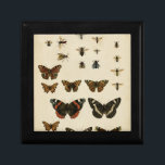 Garteninsekten von Vision Studio Schmuckschachtel<br><div class="desc">Dieses Vision Studio Stück ist ein Traum von Entomologen! Garteninsekten werden auf einem cremefarbenen Hintergrund gezeichnet,  in sehr schönen Details dargestellt. Wenn Sie Insekten Liebe haben,  ist dies der Druck für Sie!</div>