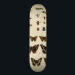 Garteninsekten von Vision Studio Skateboard<br><div class="desc">Dieses Vision Studio Stück ist ein Traum von Entomologen! Garteninsekten werden auf einem cremefarbenen Hintergrund gezeichnet,  in sehr schönen Details dargestellt. Wenn Sie Insekten Liebe haben,  ist dies der Druck für Sie!</div>