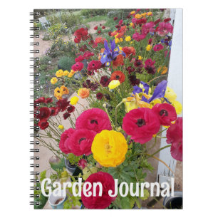 Gartenjournal Ranunkel Rote Frühlingsblumen Notizblock