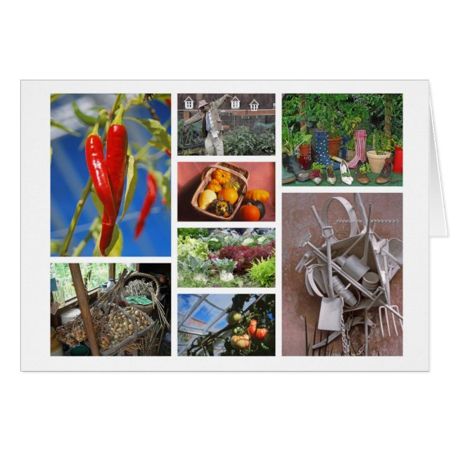 Gartenkarte (Vorderseite (Horizontal))