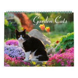 Gartenkatzen - groß kalender