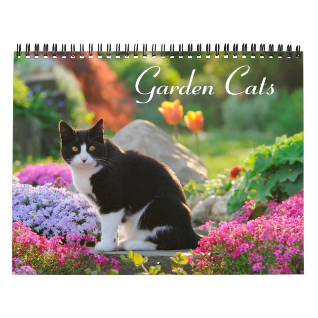 Gartenkatzen - mittelgroß kalender (Titelbild)
