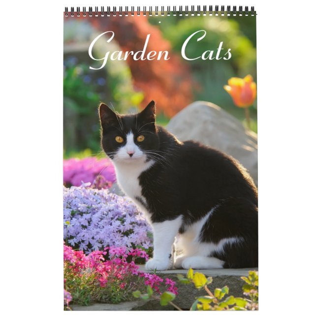 Gartenkatzen - mittelgroß kalender (Titelbild)