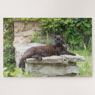 Gartenkatzenpuzzle