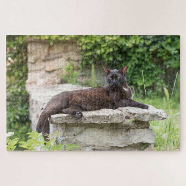 Gartenkatzenpuzzle (Horizontal)