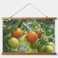 Gartenkirschtomaten Natur