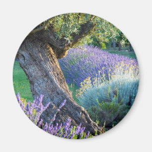 Gartenlandschaft mit Blumen, Frankreich Magnet