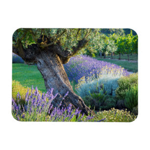 Gartenlandschaft mit Blumen, Frankreich Magnet