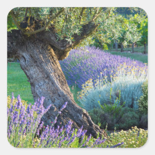 Gartenlandschaft mit Blumen, Frankreich Quadratischer Aufkleber