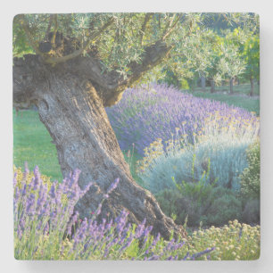 Gartenlandschaft mit Blumen, Frankreich Steinuntersetzer