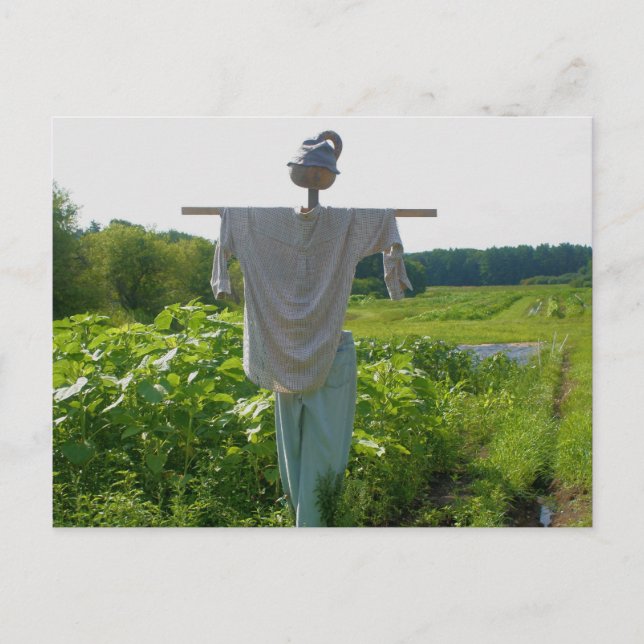 Gartenlandschaft Postkarte (Vorderseite)