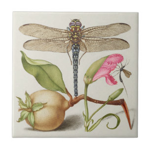 Gartenleben, Libelle, Birne, Nelke und Insekt Fliese