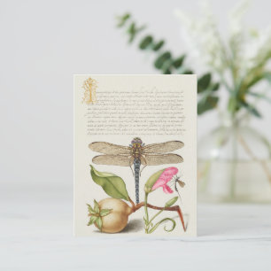Gartenleben, Libelle, Birne, Nelke und Insekt Postkarte