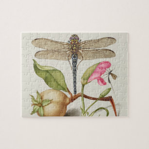 Gartenleben, Schmetterling, Birne, Nelke und Insek