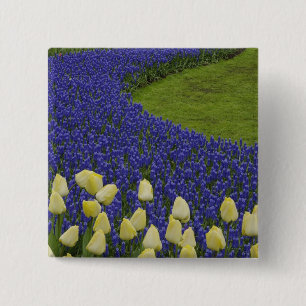 Gartenmuster aus Traubenhyazinthenblüten und 2 Button