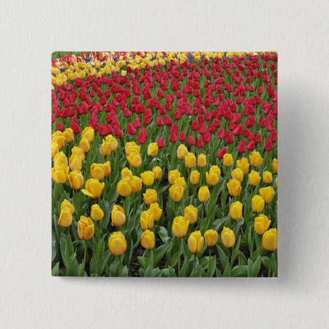 Gartenmuster Tulpen, Keukenhof Gardens, 2 Button (Vorderseite)
