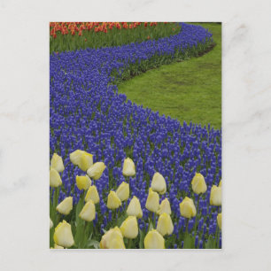 Gartenmuster von Blume und 2 Postkarte