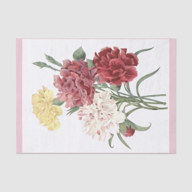 Gartennelken-Blumenstrauß 15" x 10" Seidenpapier (Vorderseite)