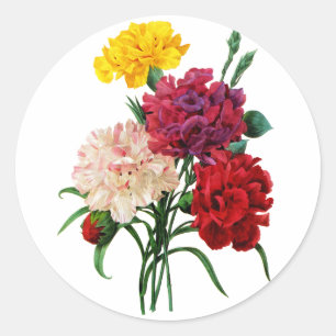 Gartennelken-und Ringelblumen-Blumenstrauß durch Runder Aufkleber