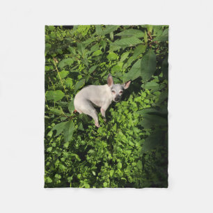 Gartennymphperle Fleecedecke