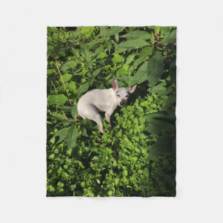 Gartennymphperle Fleecedecke