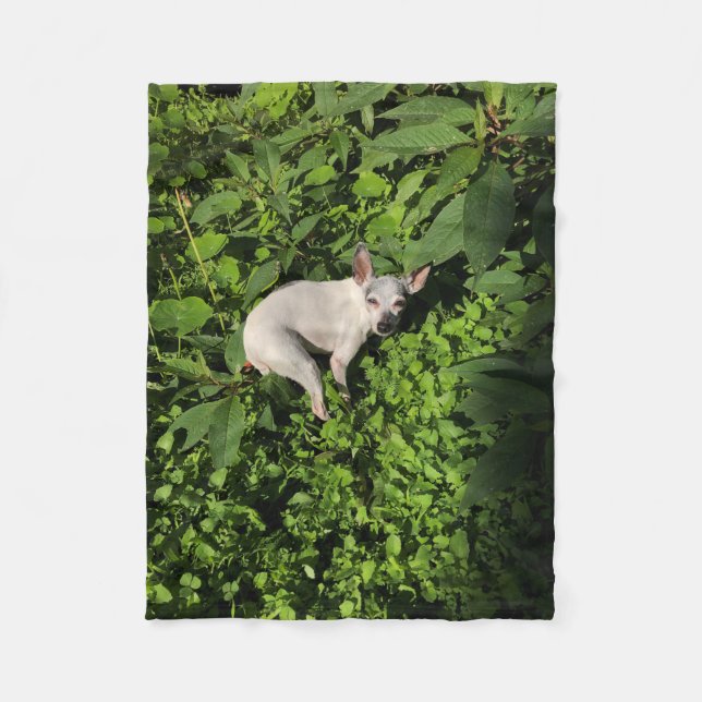 Gartennymphperle Fleecedecke (Vorderseite)