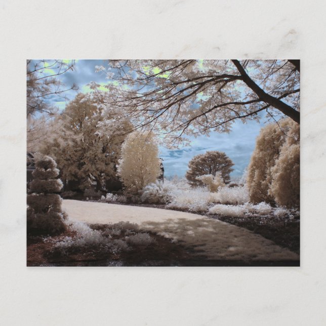 Gartenschatten Postkarte (Vorderseite)