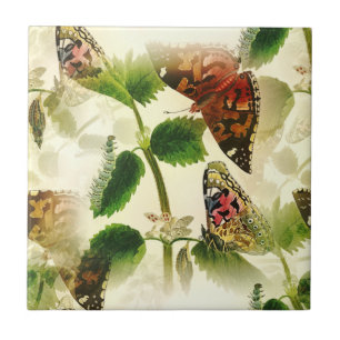 Gartenschmetterlinge  fliese