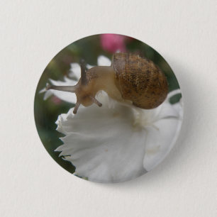 Gartenschnecke mit weißer Nelke Button