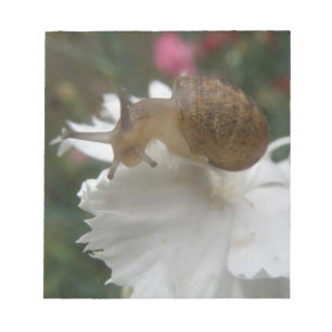 Gartenschnecke und weiße Nelkenunterlage Notizblock