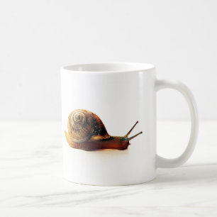 Gartenschnecken-Naturfotografie Kaffeetasse