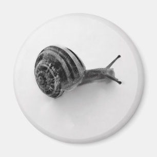 Gartenschnecken-Naturfotografie Magnet