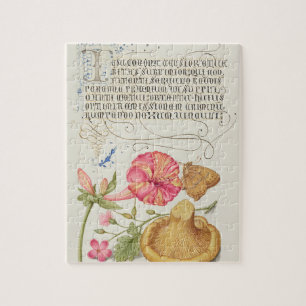 Gartenszene mit Blumen, Schmetterling und Pilz